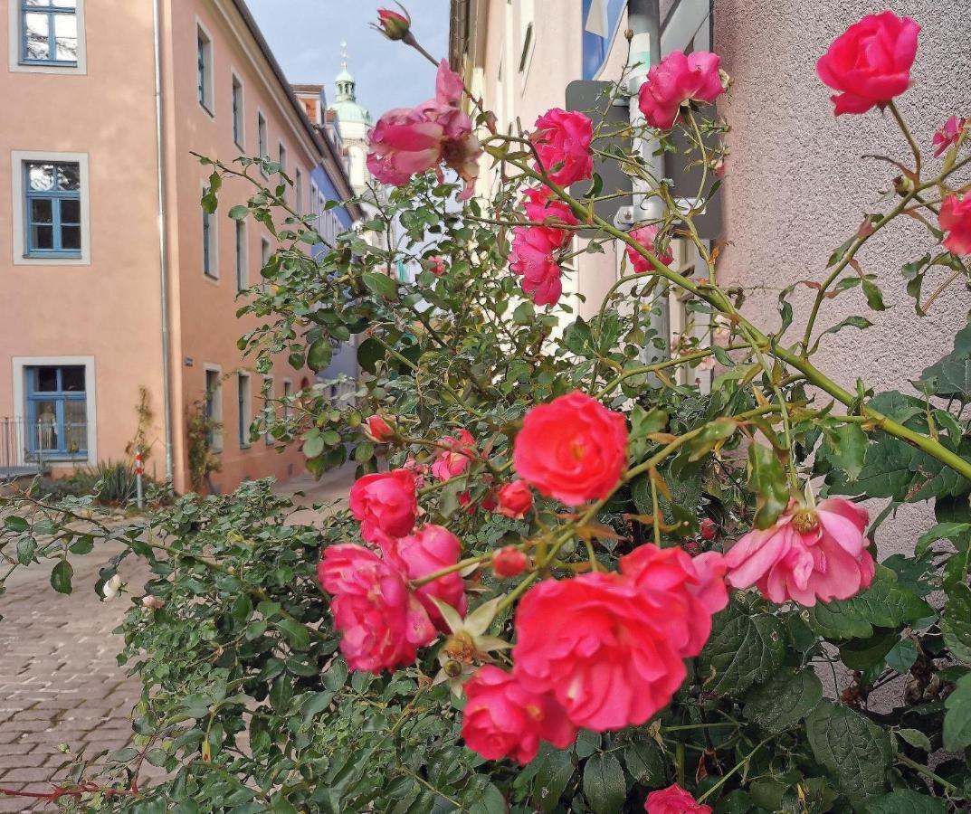 Fynbos Studio Dg In Der Altstadt, Frauenkirchenblick, Parkplatz Meißen Dış mekan fotoğraf