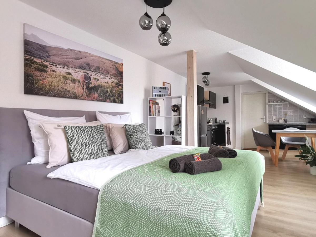 Fynbos Studio Dg In Der Altstadt, Frauenkirchenblick, Parkplatz Meißen Dış mekan fotoğraf