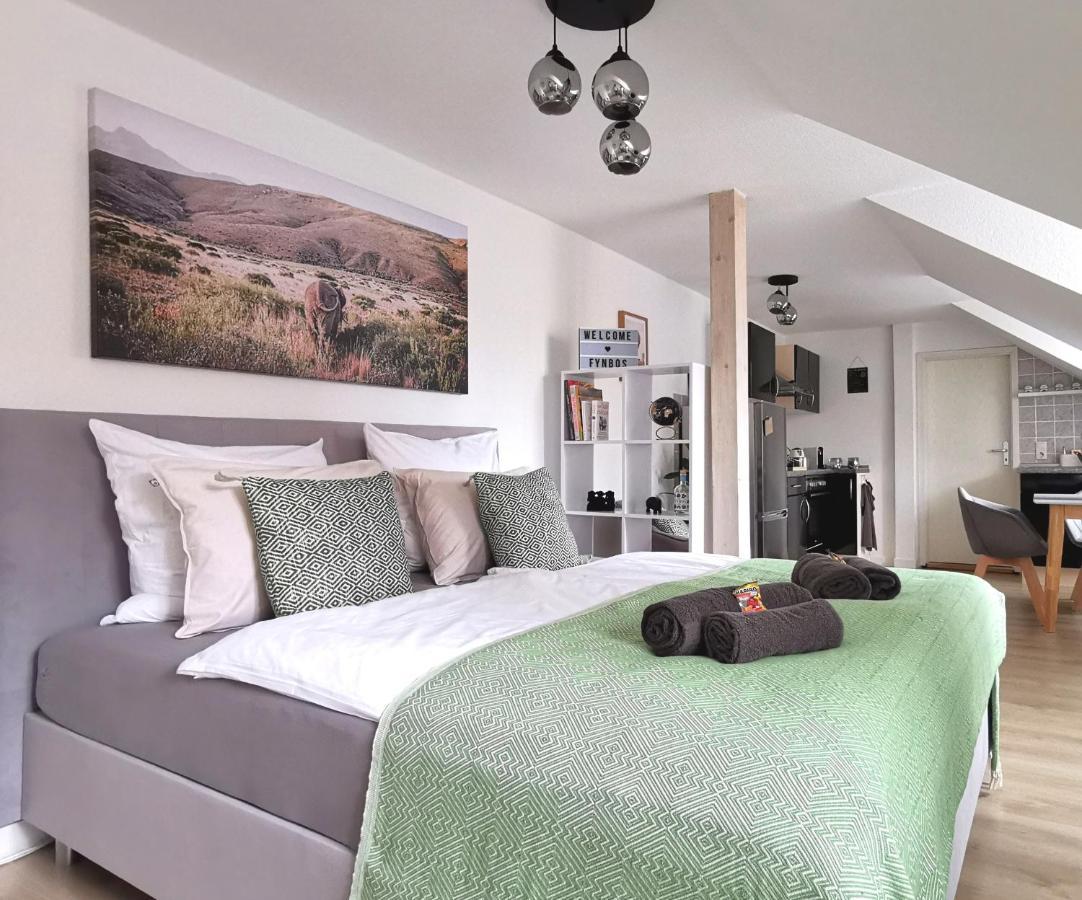Fynbos Studio Dg In Der Altstadt, Frauenkirchenblick, Parkplatz Meißen Dış mekan fotoğraf